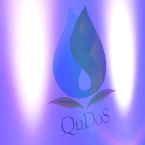 QuDoS 2023 Highlights Video